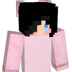 V1dee's Minecraft skin