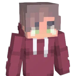 V1xDonet Minecraft avatar bust