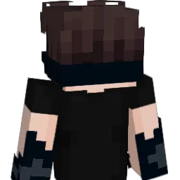 V3CT0R___ Minecraft avatar bust