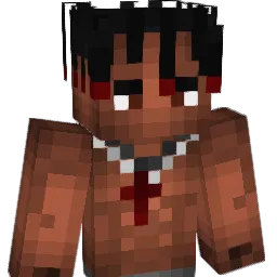 V3noomm Minecraft avatar bust