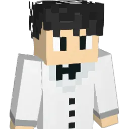 VANACER Minecraft avatar bust
