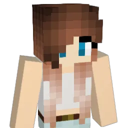 VDW_4 Minecraft avatar bust