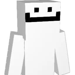 VH4 Minecraft avatar bust