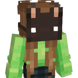 VHouse Minecraft avatar bust