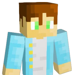 VIANSH_GAMER Minecraft avatar bust