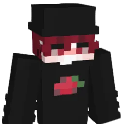 VICDXXX