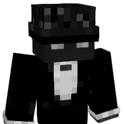 VISION3009 Minecraft avatar bust