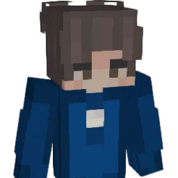 VITAVATEAUFNR1 Minecraft avatar bust
