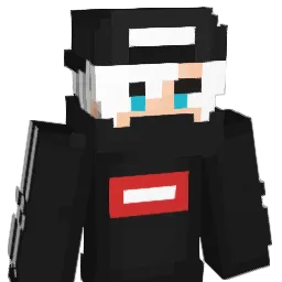 VNIX_ Minecraft avatar bust