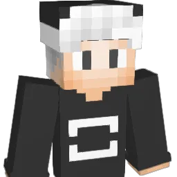 VNT_feladigaming Minecraft avatar bust