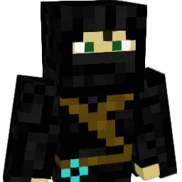VNinjAV Minecraft avatar bust