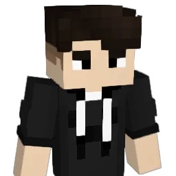 VNzz11