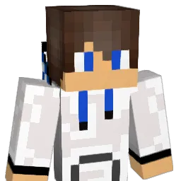 VOORTSe Minecraft avatar bust