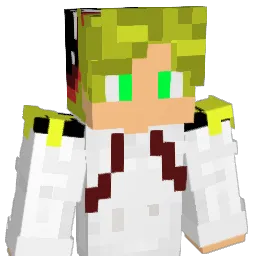 VSKing_17 Minecraft avatar bust