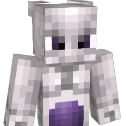 VSL's Minecraft skin