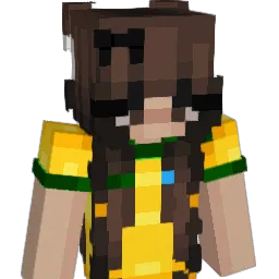 VShir0X11