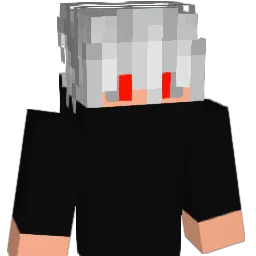 VTZIM_ Minecraft avatar bust