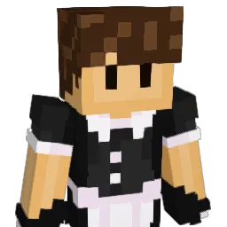 VVavvy_ Minecraft avatar bust