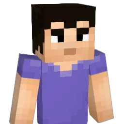 VVizard03 Minecraft avatar bust