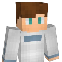 VWPolo Minecraft avatar bust