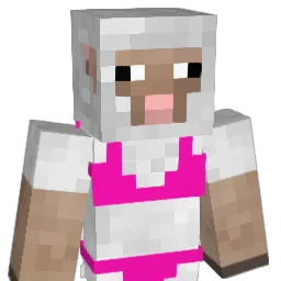 VXCWI Minecraft avatar bust