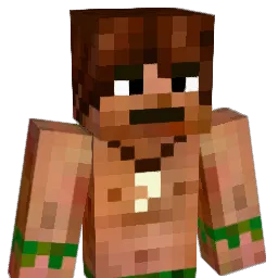 Vaajs Minecraft avatar bust