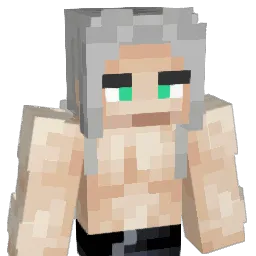 Vaan113