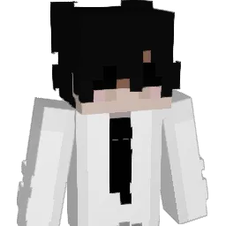 VacuumSealer Minecraft avatar bust