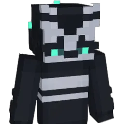 Vainn6