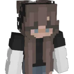 Vakation Minecraft avatar bust
