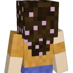 VandaVendaVal Minecraft avatar bust