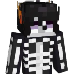 Vane41 Minecraft avatar bust