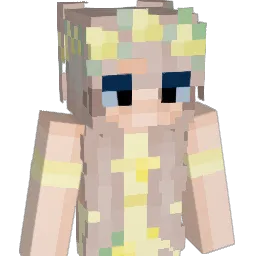 Vania2008 Minecraft avatar bust