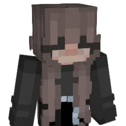 Vanisz_1337 Minecraft avatar bust