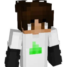 VankopopNotFound Minecraft avatar bust
