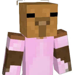 Vans247 Minecraft avatar bust