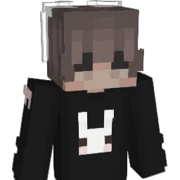 Vapor4K Minecraft avatar bust