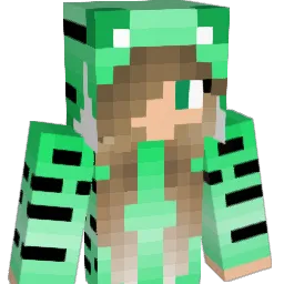 Vardas2323 Minecraft avatar bust