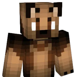 VardinDrain Minecraft avatar bust