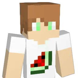 Varen1cheg Minecraft avatar bust