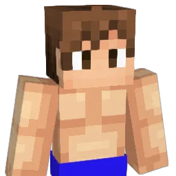 Varjo Minecraft avatar bust