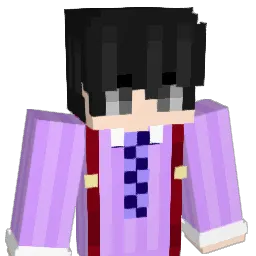 Varuniscool Minecraft avatar bust