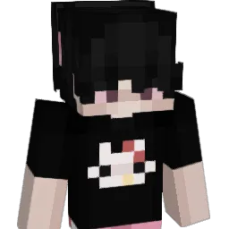 Vasek6424 Minecraft avatar bust
