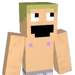Vastnomad Minecraft avatar bust