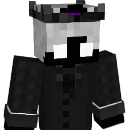 VayAfk_Oder_So Minecraft avatar bust