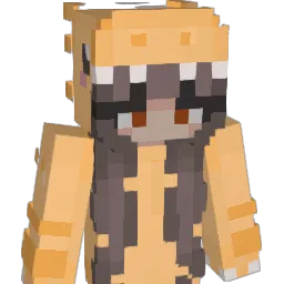 Vay_0 Minecraft avatar bust