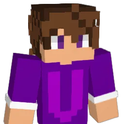 Vayner Minecraft avatar bust