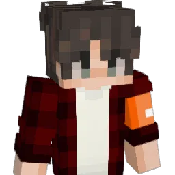 VdewV
