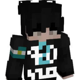 VeCort4_ Minecraft avatar bust