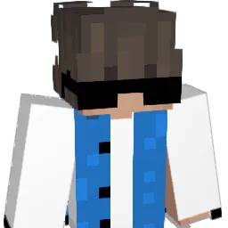 VectorPlayzYT Minecraft avatar bust